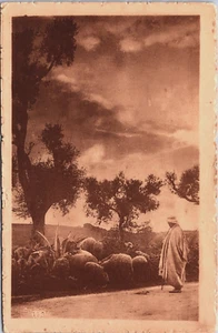 Algeria Paysage Kabyle Vintage Postcard B191 - Picture 1 of 2