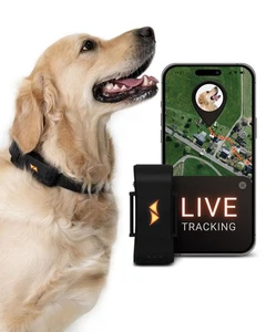 Rastreador GPS para perros PAJ - 4G Seguimiento en tiempo real y alertas de fuga - Impermeable, Lo... - Imagen 1 de 6