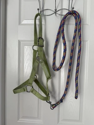 Caballo de nailon halter y cuerda de plomo caballo completo Foto 1 de 3