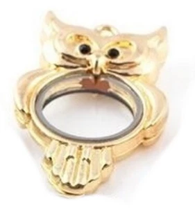 23mm Kristall Schwebend Charms Living Memory Eule Glas Medaillon Anhänger Keine Kette - Bild 1 von 1