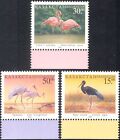 1998 Kazakhstan Oiseaux/Nature/Faune/Grue/Cigogne/Flamingo/Faune Lot 3 V b3136