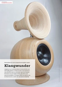 LMH No.2 / Horny Two Design High End Horn-Lautsprecher Referenz Lautsprecher - Bild 1 von 15