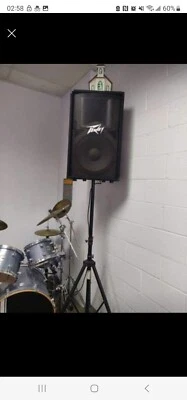 2 динамика Peavey пассивные громкие - Изображение 1 из 4