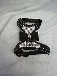 Small Dog Harness Set with Stones. Max Girth 13 inches