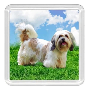 Lhasa Apso Dog Acrylic Coaster Novelty Drink Cup Mat Great Gift - Picture 1 of 1