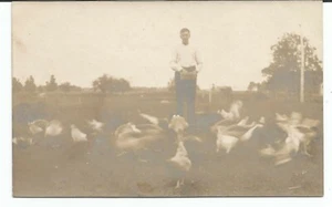 Man Feeding Chickens RPPC Unused Unposted Postcard - Picture 1 of 2