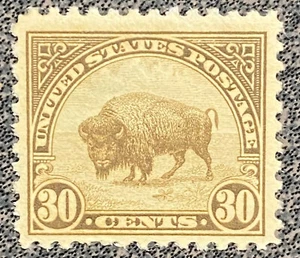Scott 569 U.S. 1923 American Buffalo 30 Cent Postage Stamp - Picture 1 of 2
