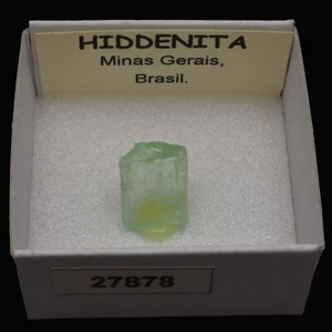HIDDENITA (Minas Gerais, Brasil) P #27878 / Hiddenite - Imagen 1 de 1