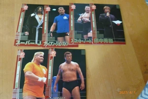 Bandai 2001 Pro Wrestling Trading Cards Roses Set 15 Pieces New - Picture 1 of 2