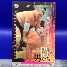 Terunofuji Haruo Sumo Wrestler Trading Card BBM 2017 Rikishi TCG Japanese #109