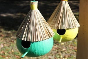 2pc COCONUT BIRD HOUSES, Green And Yellow, Bird Habitat, Mothers Day Gift - Picture 1 of 7