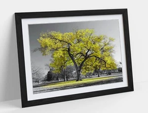 ÁRBOL AMARILLO CON FONDO BLANCO Y NEGRO - CARTEL ARTE DE PARED ENMARCADO IMPRESIÓN EN PAPEL - Imagen 1 de 11