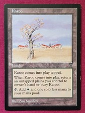 Magic The Gathering VISIONS KAROO single land card MTG