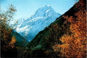 Mt. Cook Canterbury New Zealand Continental Postcard - Picture 1 of 2