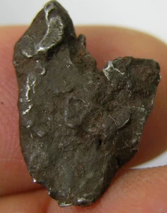 #14 Natural 14.00ct 100% Rock From Space Russian Sikhote Meteorite 2.80g 20.00mm - Picture 1 of 5