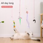 Funny Stick Kitten Hanging Cat Toy Hanging Swing  Cat