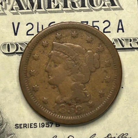 1853 (P) Braided Hair Large Cent - US Coin- zm Cover