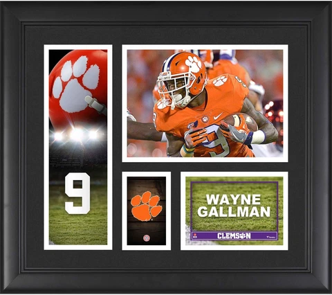 Wayne Gallman Clemson Tigers Framed 15x17 Player Collage - Fanatics Cover