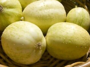 Cucumber Seeds “Apple”(30 Seeds) Popular Garden Vegetable…. - Picture 1 of 1