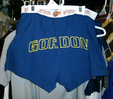 VINTAGE WINNERS CIRCLE #24 DUPONT JEFF GORDON LADIES COTTON SHORTS EXTRA X LARGE Cover