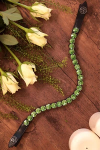 Clip a scatto Ice Equestrian Browband Chill Zest cambio rapido - Foto 1 di 7