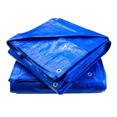 TARPWISE Tarp Supply 20' x 20' Cut Size Blue Poly Tarp With Grommets