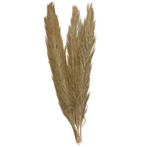 Palm Leaf Home Decor Natural Foliage Tall Natural Dried Foliage, Foliage for ... - Picture 1 of 5