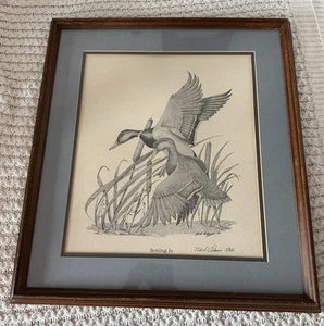 SIGNED and NUMBERED Mallard Drawing Bob Adams 5/200 - Picture 1 of 5