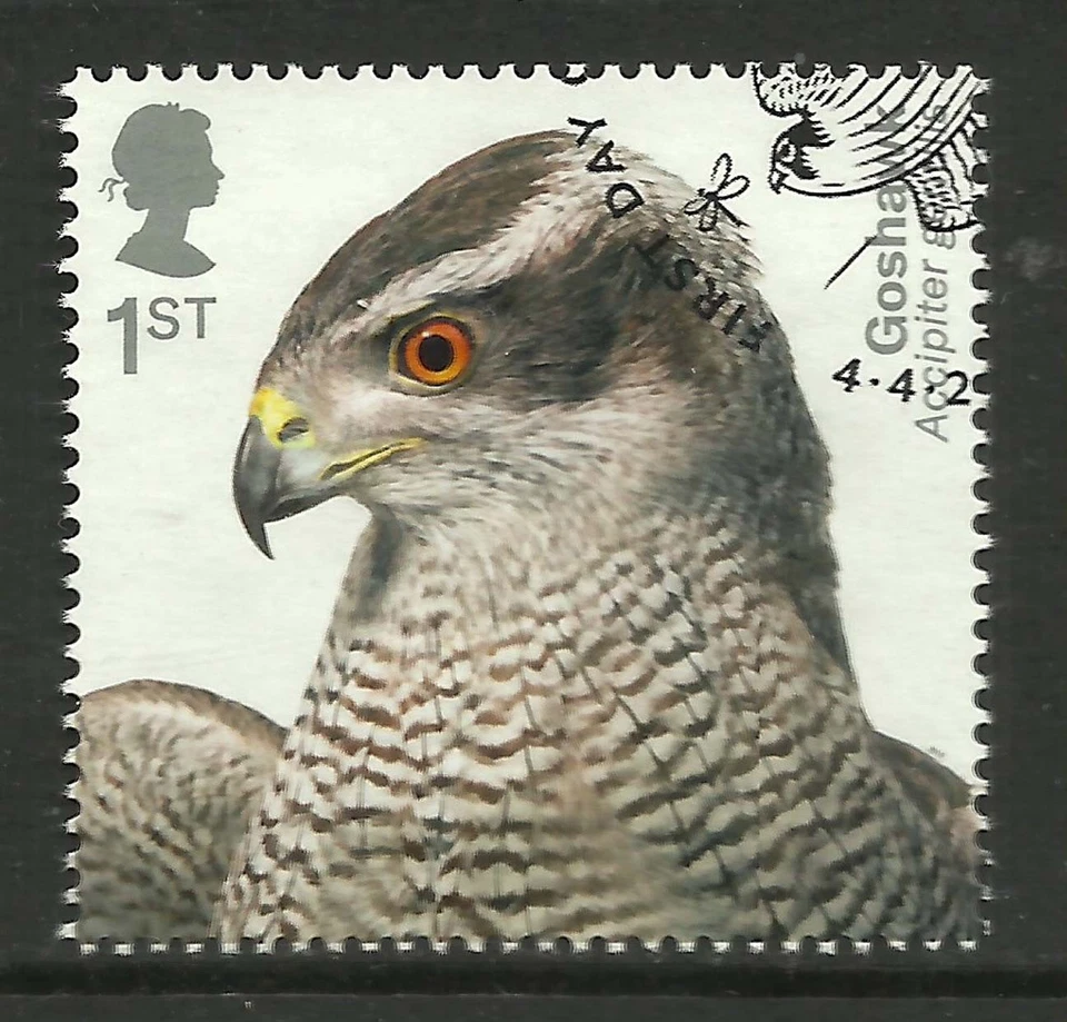 GB 2019 QE2 1st Birds of Prey ' Goshawk ' Ex Fdc SG 4206 ( J1325 ) - Image 1 of 1