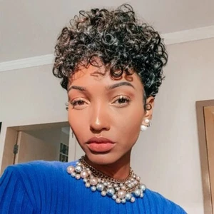 Short Pixie Cut Wig Curly Human Hair Wigs Cheap Afro Curly Wig Full Machine Made - Picture 1 of 15