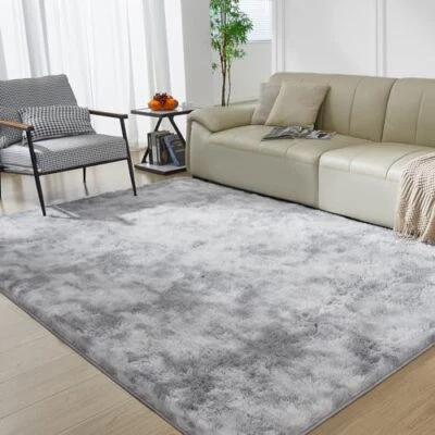 FAIRBLINK Ultra Soft Rug for Living Room, 4X6 Fluffy Shag Area Assorted Colors , Sizes