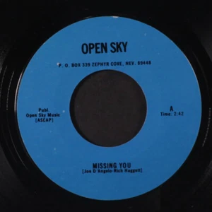 OPEN SKY: missing you / a simple song of love open sky 7" Single 45 RPM Hear - Picture 1 of 2