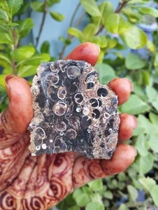 Tutela Raw Slice - Rare Natural Gemstone Slice - Picture 1 of 12