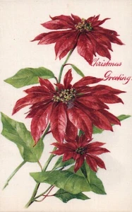 Silk John Winsch Christmas Greetings Vintage Poinsettia Postcard - Picture 1 of 2