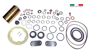Roosa Master / Stanadyne Diesel Injection Pump seal kit 24371 & PILOT BUSHING - Picture 1 of 5