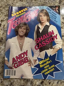 #6 Grooves Presents Teen Fever Andy Gibb And Shaun Cassidy Vintage Collect 1978 - Picture 1 of 3