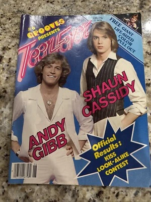 #6 Grooves Presents Teen Fever Andy Gibb And Shaun Cassidy Vintage Collect 1978 - Image 1 of 3