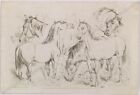 Henry Thomas Alken (1785-1851) "Horse Studies", 1831, Etching (1)