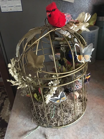 Brass Bird Cage Great Decor Cover