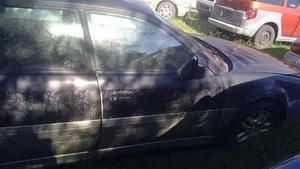 Passenger Front Door Electric Outback Fits 00-04 Subaru Legacy OEM - Picture 1 of 4
