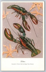 Postcard Postcard Lobsters Water Color by Roger Tory Peterson I11 - Picture 1 of 2