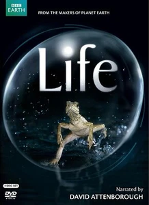 Life David Attenborough DVD - Picture 1 of 1