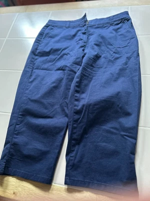 Karen Scott Women's Petite, Size 8P, Navy Blue, Cotton Blend Shorts - Image 1 of 3