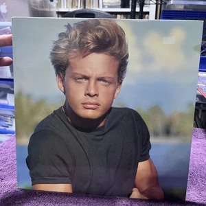 LP-Luis Miguel ‎– 20 Años + INNER SLEEVE - WEA LATINA WH-71535-1 (1990) - Picture 1 of 19