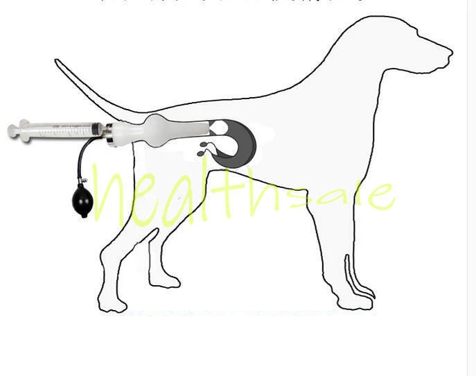 Artificial Insemina Syringe Dog Imitation Natural Mating Tool  Professional Dogs - Image 1 of 1