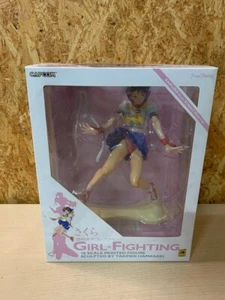 SAKURA Nishimura Kinu Collection Street Fighter Girl-Fighting 1/6 Figure Used JP - Picture 1 of 6
