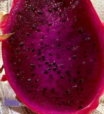 Queen Daenerys Dragon Fruit STARTER