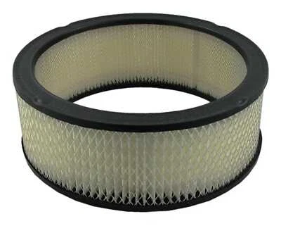 Filtro de aire compatible con Pontiac Grand Prix Bonneville Catalina PENTIUS AUTO 1964-1987 Foto 1 de 2
