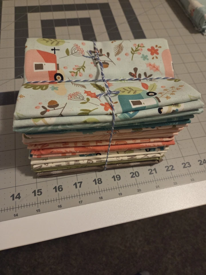Riley Blake Designs Glamp Camp My Mind's Eye Fat Quarter Bundle 20 件套 — 第 1/1 张图片