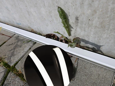 24V neon led lichtband strip Leiste streife kaltweiss CRI 90 Ip65 Dimmbar 1715 - Bild 1 von 4